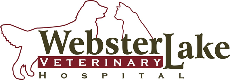 Webster Lake Veterinary Hospital
