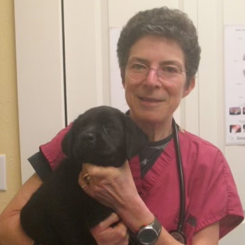 Dr. Donna Badner